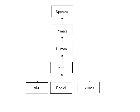 A class hierarchy: Adam, Daniel and Simon extend Man extends Human extends Primate extends Species